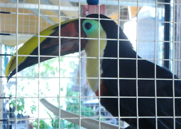 Nicole Gigantes By Estrella Del Norte 아파트