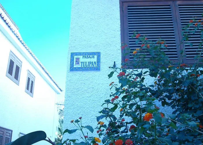 Nicole Gigantes By Estrella Del Norte