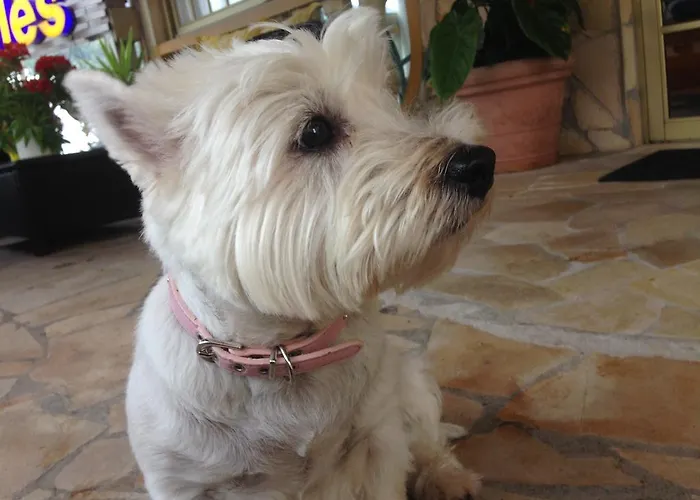 아파트 Nicole Gigantes By Estrella Del Norte 푸에르토 데 산티아고